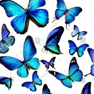 Thank you for stopping by!